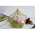 Home Decoration Geometric Glass Terrarium Ecological